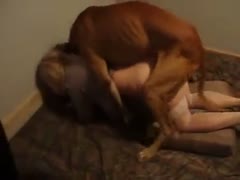 A shy college slut once fucks a K9 in this amazing hardcore savage porn video.